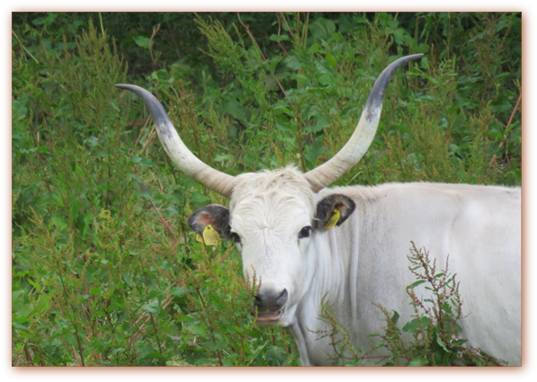Weiterleitung zu den Bildern von Carsten